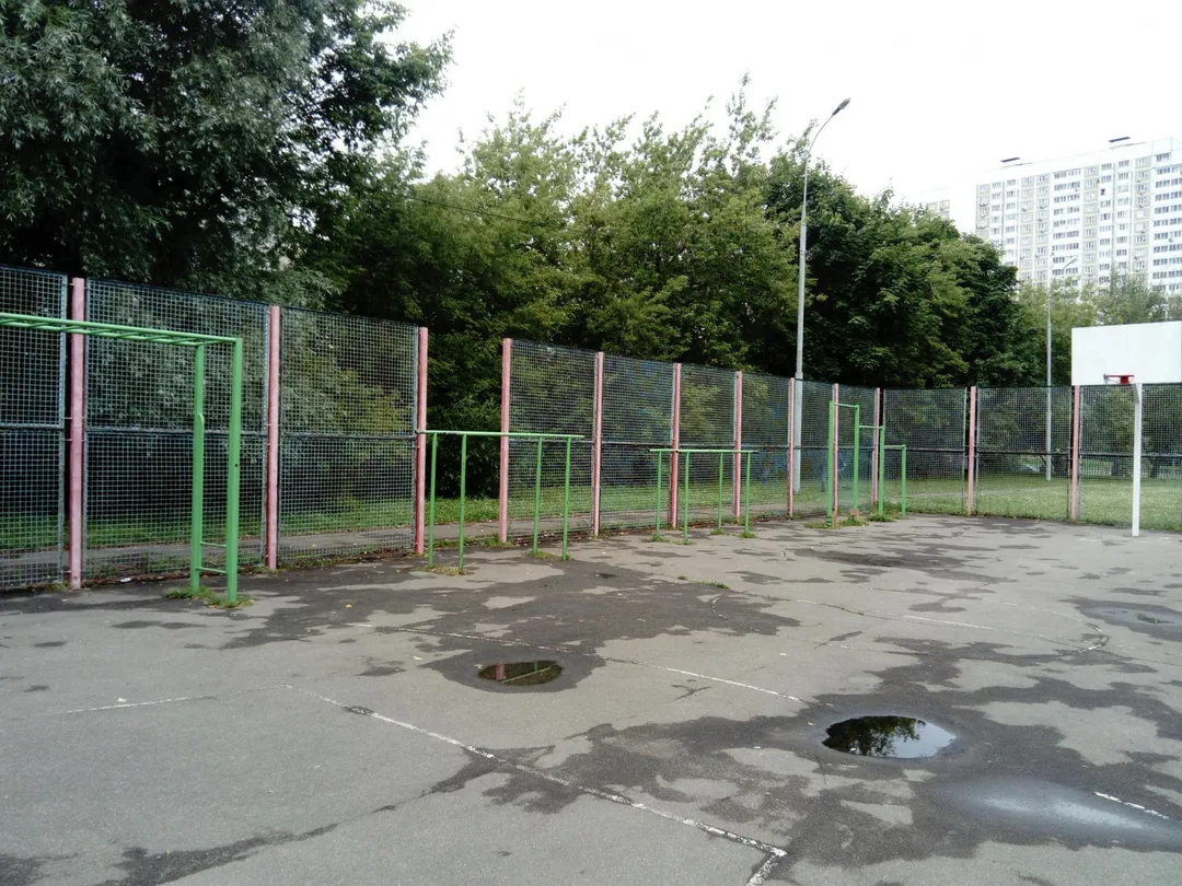 Barres parallèles à Calisthenics Park at улица Артамонова, Москва – photo 2 sur 5