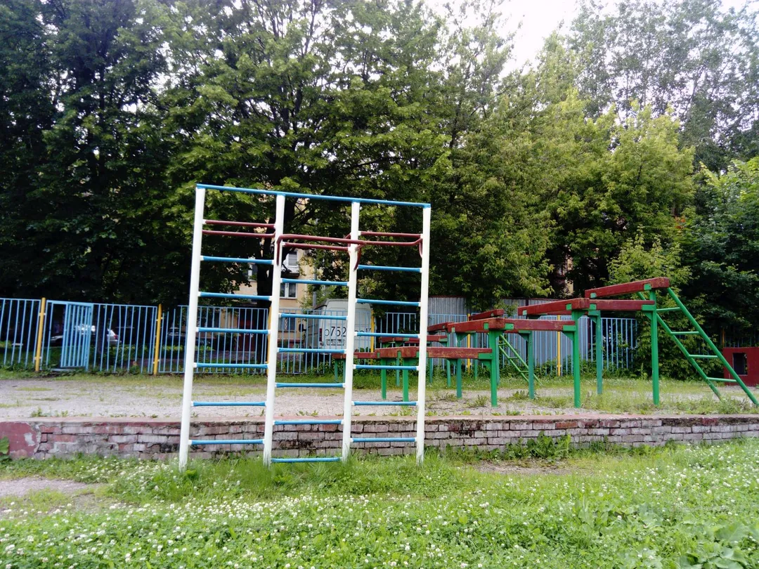 Espalier à Calisthenics Park at улица Артамонова, Москва – photo 4 sur 5