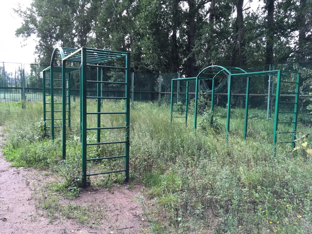 Hangelstange bei Calisthenics Park at Ланское шоссе, Санкт-Петербург – Foto 3 von 4