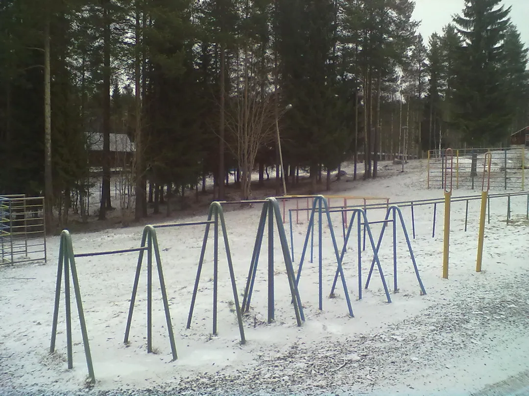 Barras de Mono en Calisthenics Park at Пионерская улица, Костомукша – foto 3 de 3