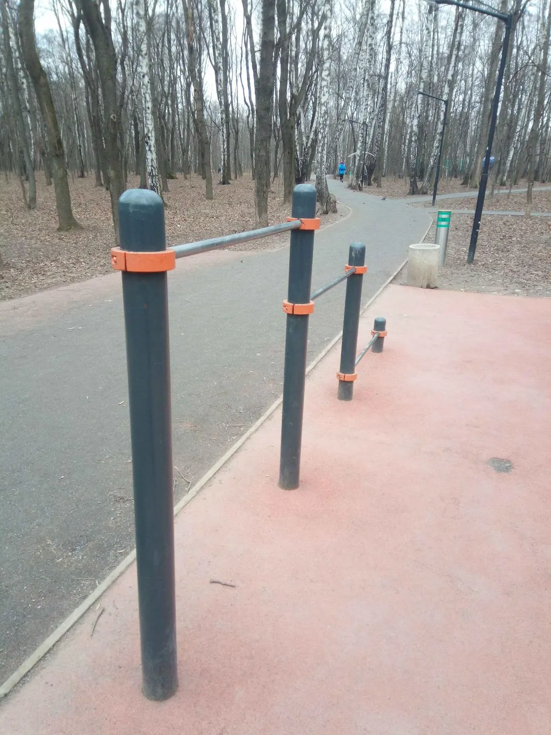 Barre de pompes à Calisthenics Park at Тропа здоровья, Москва – photo 2 sur 3