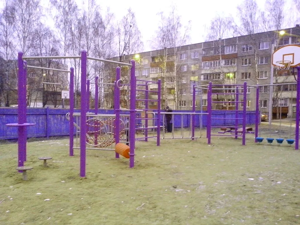 Турник на площадке Calisthenics Park at Советская улица, Домодедово – фото 1 из 2