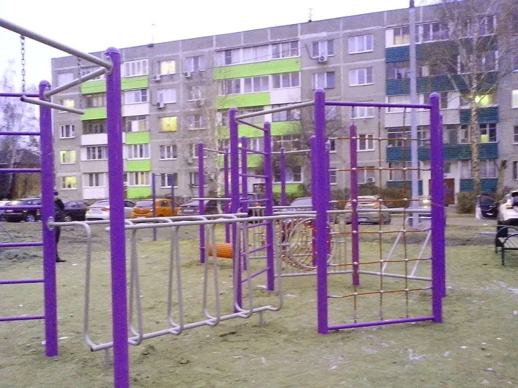 Брусья на площадке Calisthenics Park at Советская улица, Домодедово – фото 2 из 2