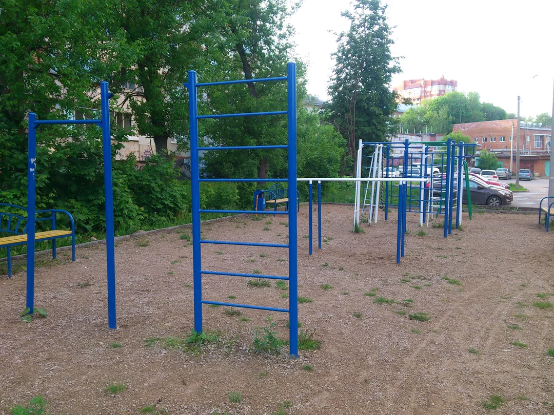 Monkey Bars at Calisthenics Park at улица Мезенцева, Тула – photo 3 of 3