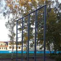 Calisthenics Park at Красноармейский проспект, Барнаул - thumbnail 2