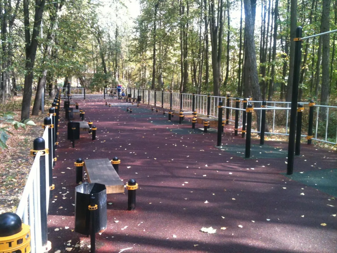 Шведська стінка на майданчику Calisthenics Park at Большая Филёвская улица, Москва #wp2282 – фото 6 з 6