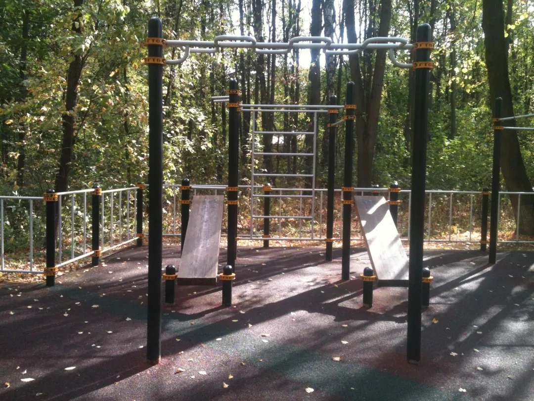 Низькі бруси на майданчику Calisthenics Park at Большая Филёвская улица, Москва #wp2282 – фото 4 з 6