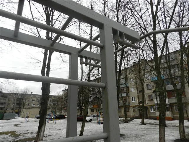 Barres de singe à Calisthenics Park at улица Ленина, Железногорск – photo 3 sur 3