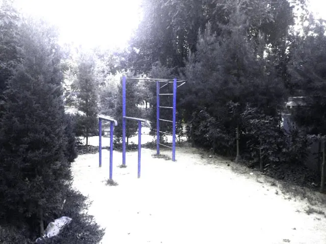 Calisthenics Park at Yuqori Qoraqamish ko'chasi, Toshkent shahri