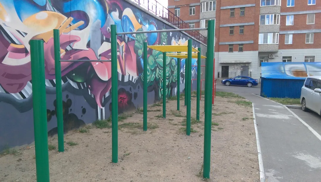 Monkey bar presso Calisthenics Park at Смоленская улица, Чита – foto 8 di 9