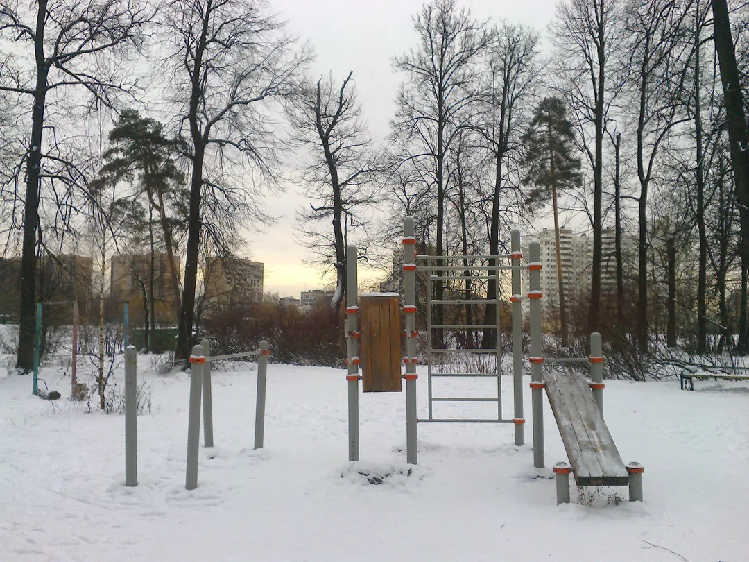 Bară de tracțiuni la Calisthenics Park at Курганская улица, Москва – fotografia 1 din 2