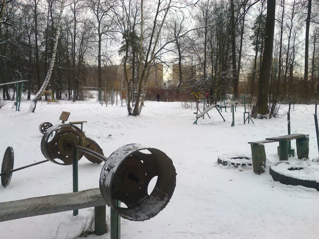 Bare paralele la Calisthenics Park at Курганская улица, Москва – fotografia 2 din 2