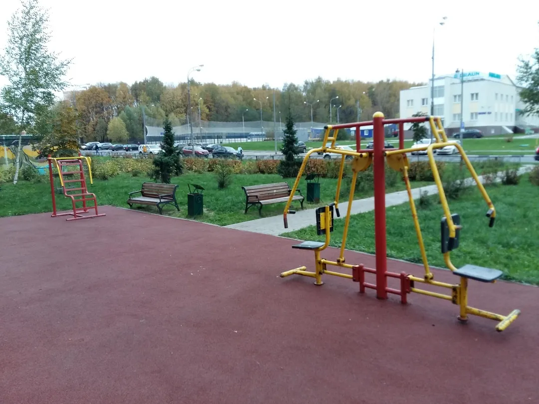 Spalier la Calisthenics Park at улица Соловьиная Роща, Москва – fotografia 4 din 4