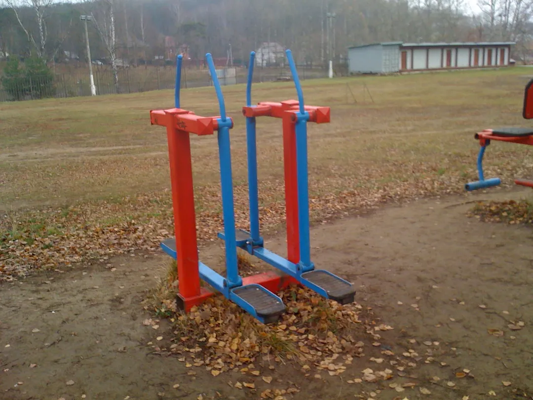 Monkey Bars at Calisthenics Park at Лыжный стадион имени И. С. Утробина, Красногорск – photo 3 of 12