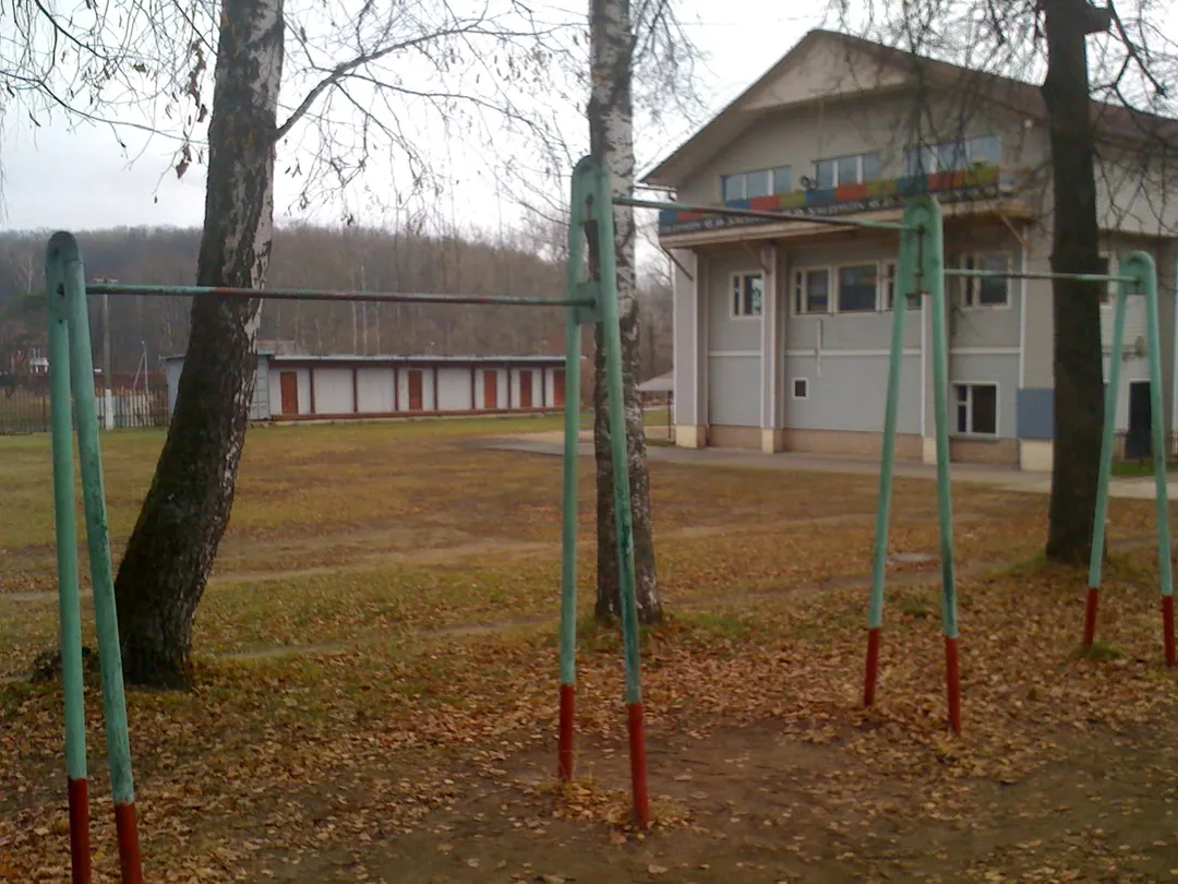 Air Skier at Calisthenics Park at Лыжный стадион имени И. С. Утробина, Красногорск – photo 10 of 12