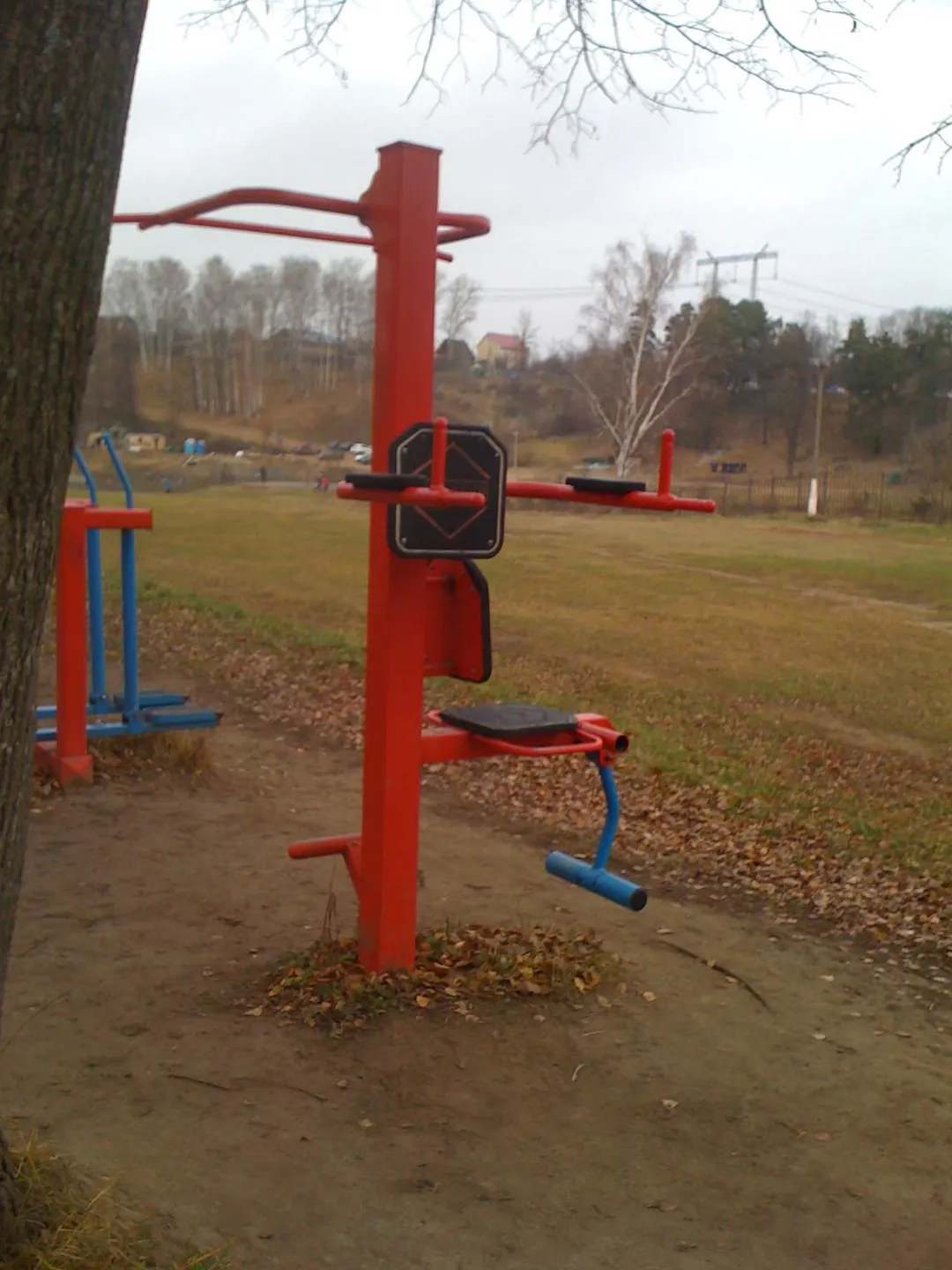 Air Walker at Calisthenics Park at Лыжный стадион имени И. С. Утробина, Красногорск – photo 5 of 12