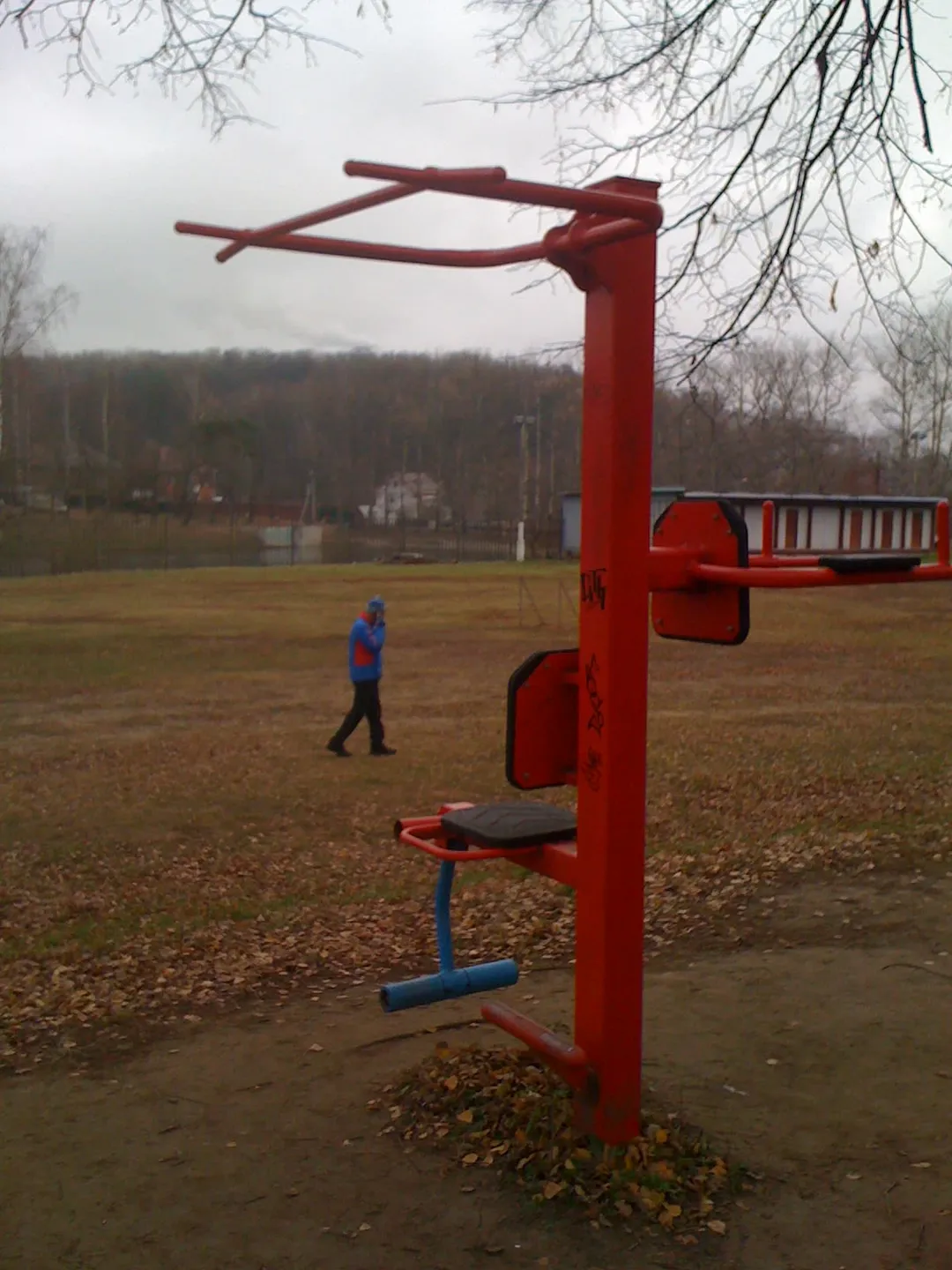 Wall Bars at Calisthenics Park at Лыжный стадион имени И. С. Утробина, Красногорск – photo 6 of 12