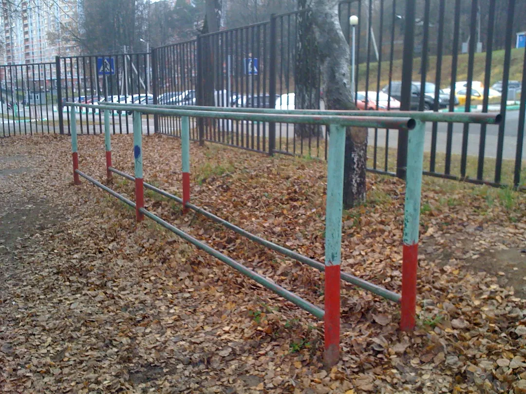 Monkey Bars at Calisthenics Park at Лыжный стадион имени И. С. Утробина, Красногорск – photo 9 of 12