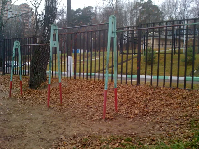 Calisthenics Park at Лыжный стадион имени И. С. Утробина, Красногорск