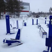 Calisthenics Park at Авангард, Ноябрьск - thumbnail 2