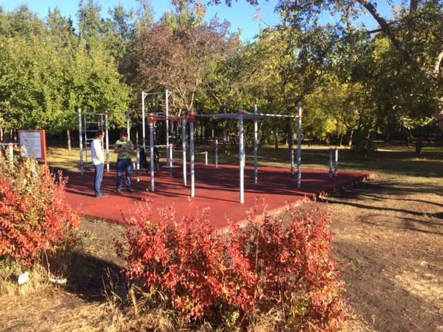 Рукохід на майданчику Calisthenics Park at улица им. Газеты «Правда», Магнитогорск – фото 3 з 3
