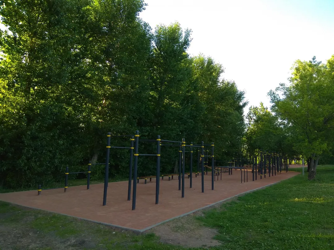 Pull Up Bar at Calisthenics Park at Каширское шоссе, Москва #wp2318 – photo 1 of 3