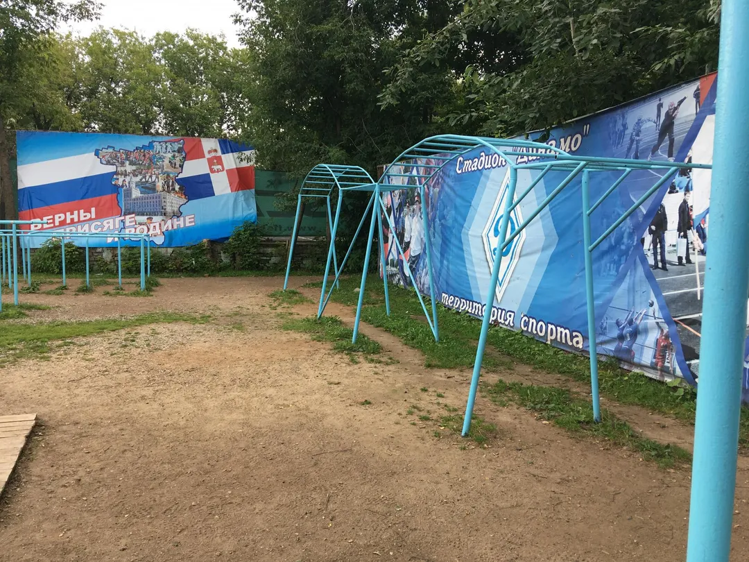 Monkey Bars at Calisthenics Park at Динамо, Пермь – photo 3 of 3