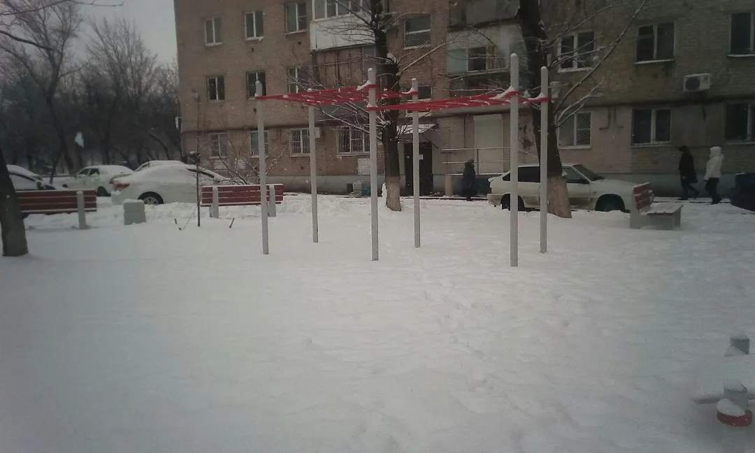 Barras de Mono en Calisthenics Park at проспект Стачки, Ростов-на-Дону – foto 4 de 4