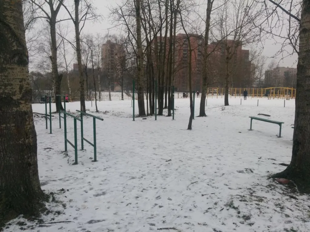 Bară de tracțiuni la Calisthenics Park at аллея Славы, Санкт-Петербург – fotografia 1 din 2