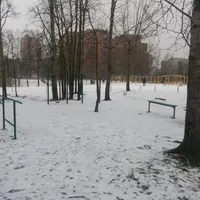 Calisthenics Park at аллея Славы, Санкт-Петербург - thumbnail 1