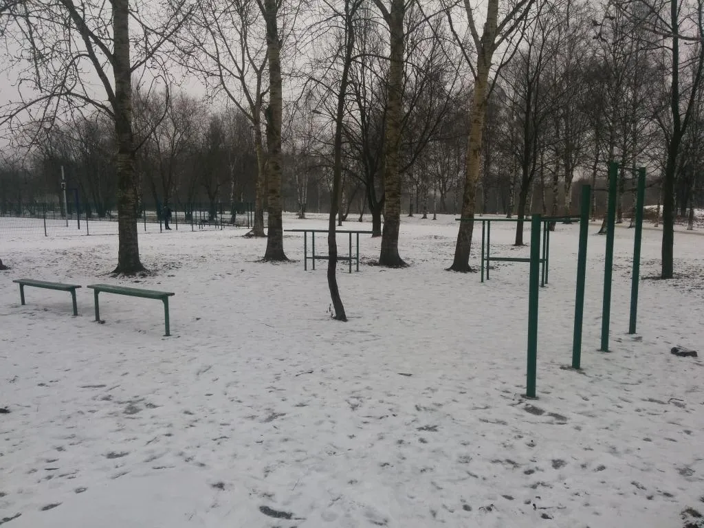 Bare paralele la Calisthenics Park at аллея Славы, Санкт-Петербург – fotografia 2 din 2