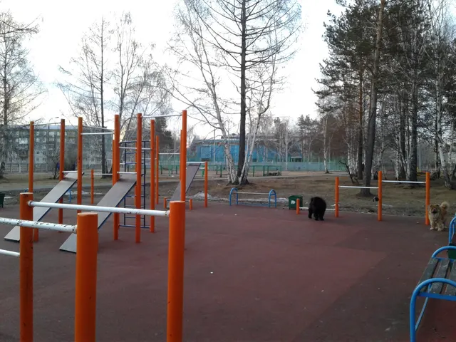 Outdoor Gym in 15-й микрорайон, Ангарск