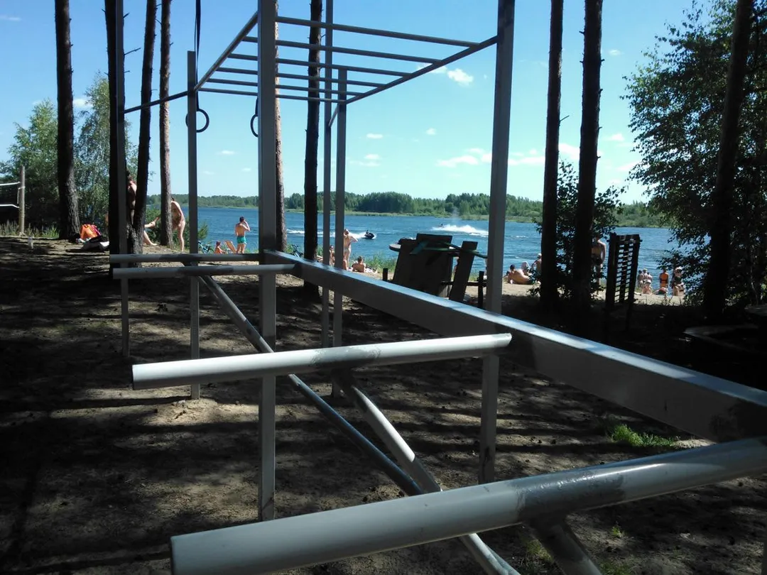 Monkey Bars at Calisthenics Park at 78Н-0941, Ярославль – photo 3 of 3