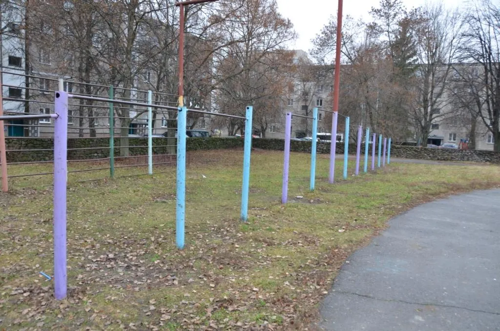 Monkey bar presso Calisthenics Park at Ленинградская улица, городской округ Курчатов – foto 4 di 4