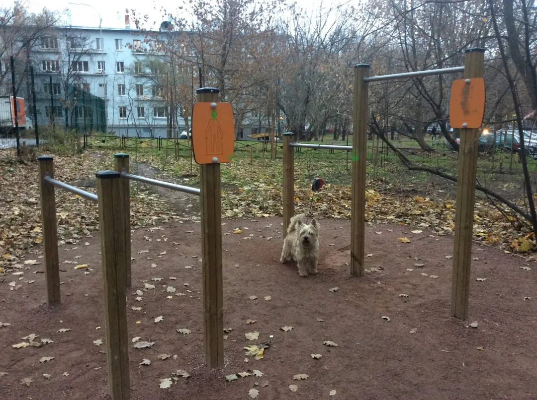 Barre de traction à Calisthenics Park at Аэродромная улица, Москва – photo 1 sur 2