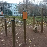 Calisthenics Park at Аэродромная улица, Москва - thumbnail 1