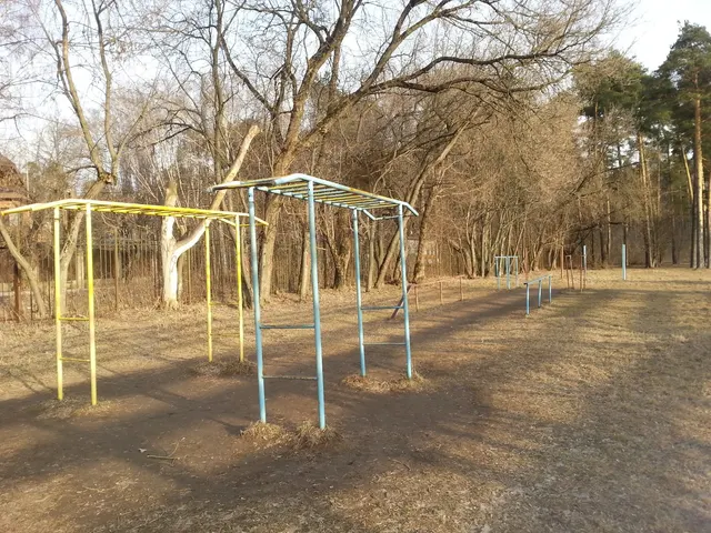 Calisthenics Park at улица Советской Конституции, Ногинск