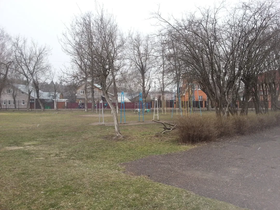 Турник на площадке Calisthenics Park at улица Советской Конституции, Ногинск – фото 5 из 5