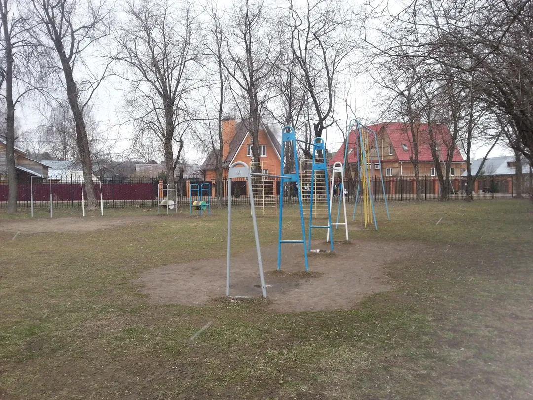 Шведская стенка на площадке Calisthenics Park at улица Советской Конституции, Ногинск – фото 4 из 5