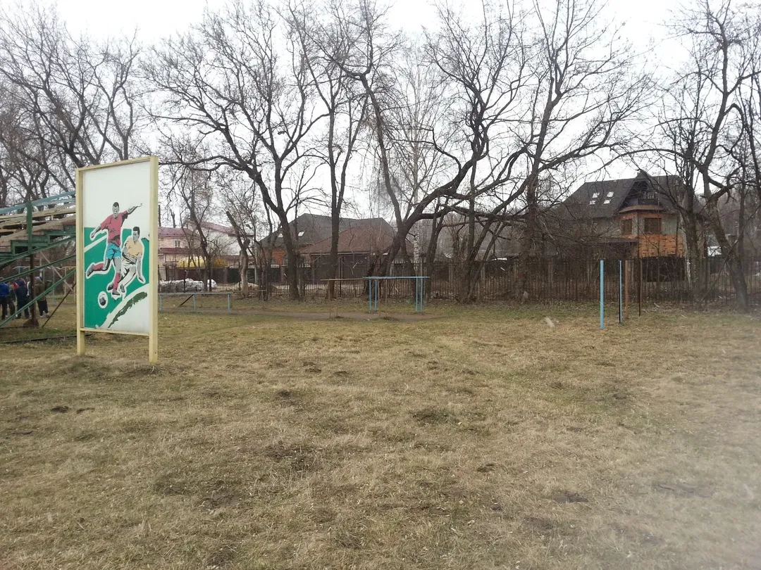 Брусья на площадке Calisthenics Park at улица Советской Конституции, Ногинск – фото 2 из 5