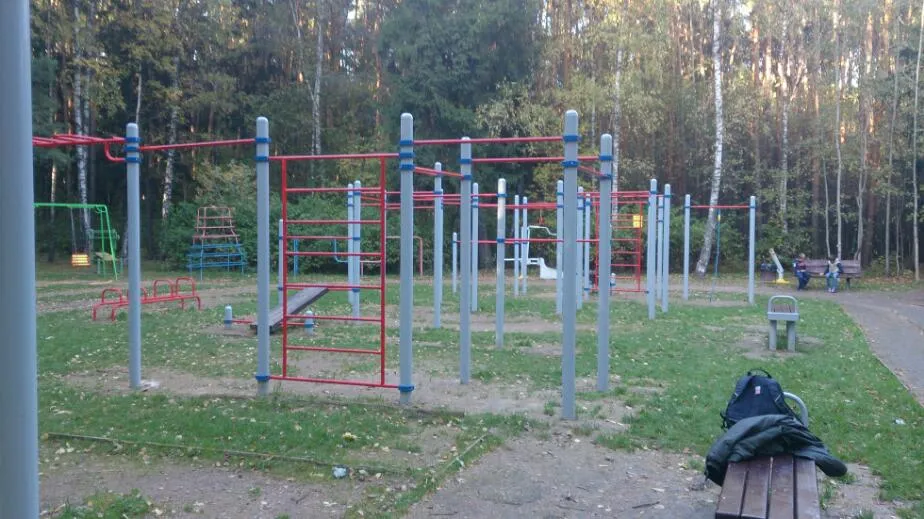 Barre de traction à Calisthenics Park at Чоботовская улица, Москва #wp2354 – photo 1 sur 1