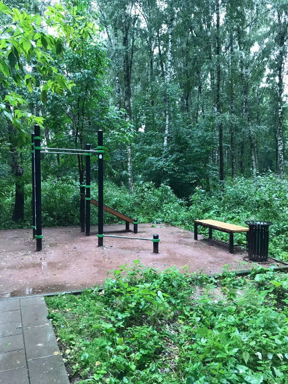 Spalier la Calisthenics Park at Гурьевский проезд, Москва – fotografia 2 din 2
