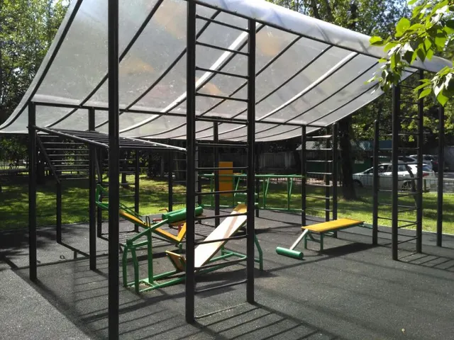 Calisthenics Park at 2-я Рейсовая улица, Внуково