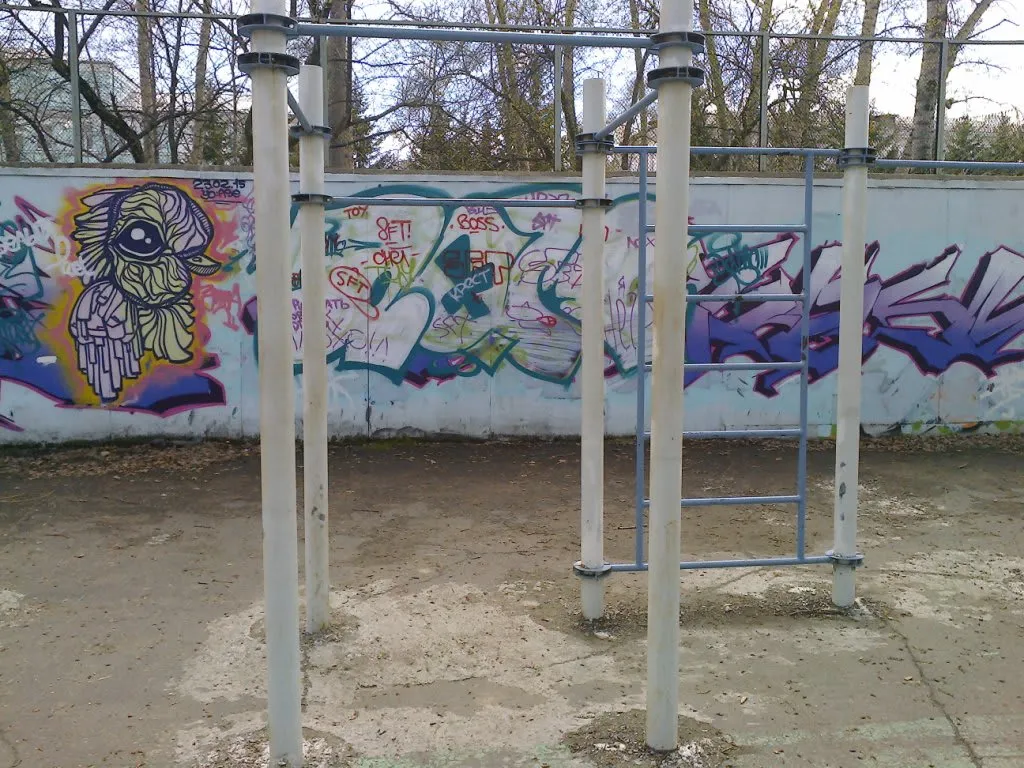 Ground Parallel Bars at Calisthenics Park at площадь Юности, Комсомольск-на-Амуре – photo 3 of 3