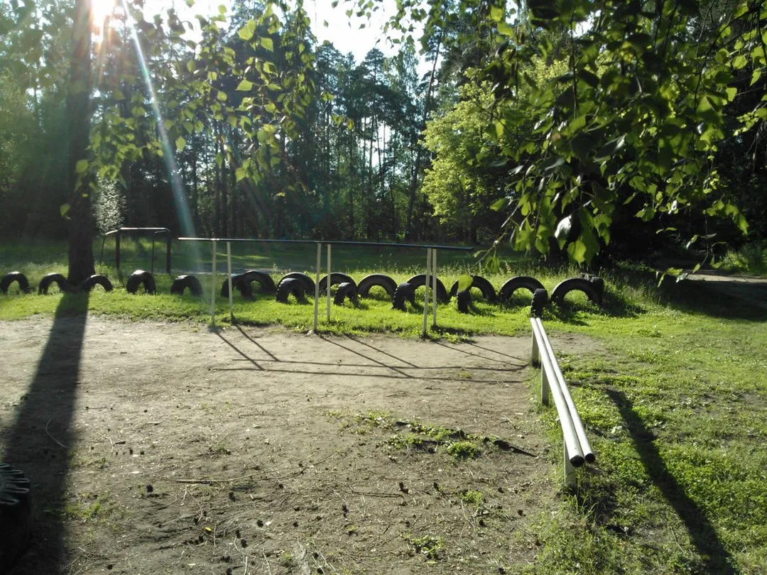 Monkey Bars at Calisthenics Park at проспект Авиаторов, Ярославль – photo 3 of 3