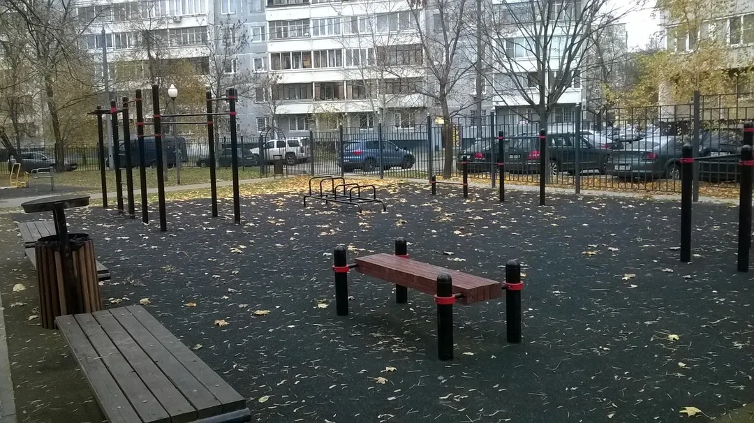 Spalliera presso Calisthenics Park at улица Фёдора Полетаева, Москва – foto 3 di 3