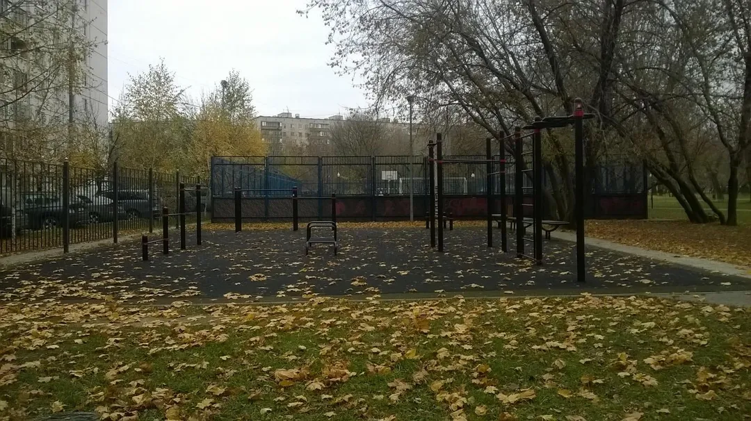 Sbarra per trazioni presso Calisthenics Park at улица Фёдора Полетаева, Москва – foto 1 di 3
