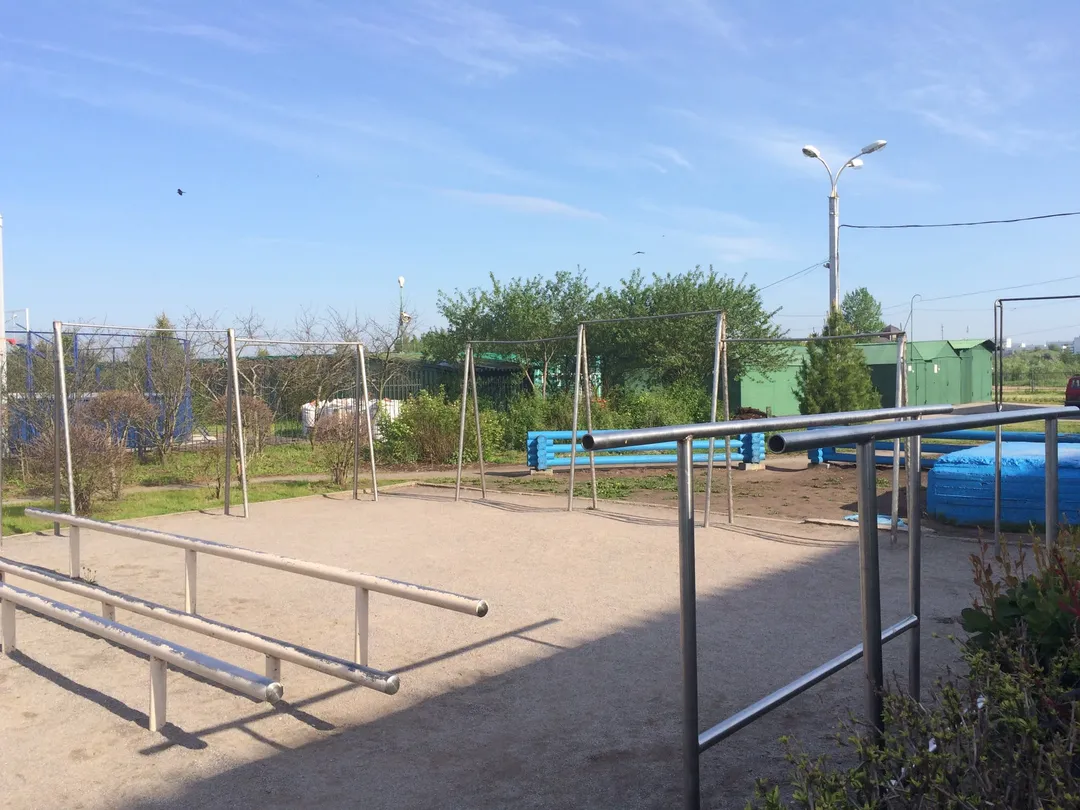 Monkey Bars at Calisthenics Park at улица Попова, городской округ Великий Новгород – photo 3 of 3