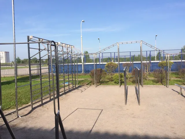 Calisthenics Park at улица Попова, городской округ Великий Новгород