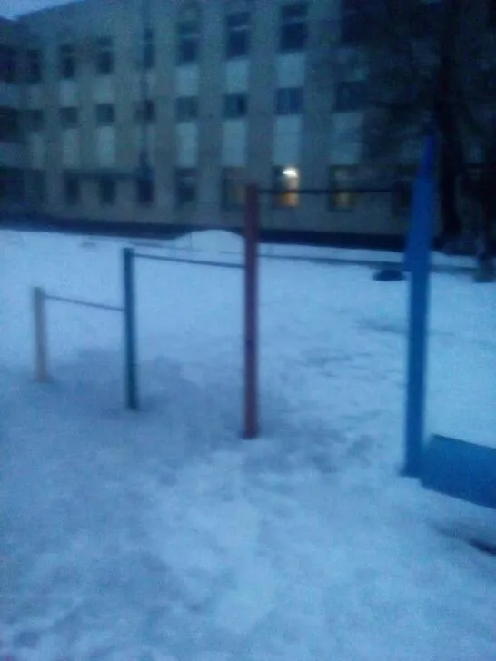Monkey Bars at Calisthenics Park at Минская улица, Энгельс – photo 3 of 4